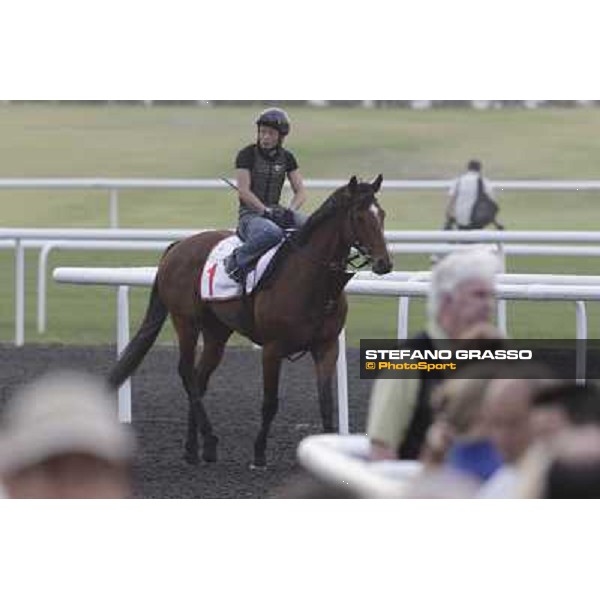 Transcend during morning track works at Meydan Dubai, 28th march 2012 ph.Stefano Grasso