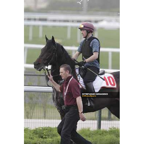 So You Thin leads the Aidan O\'Brien team during morning track works at Meydan Dubai, 28th march 2012 ph.Stefano Grasso