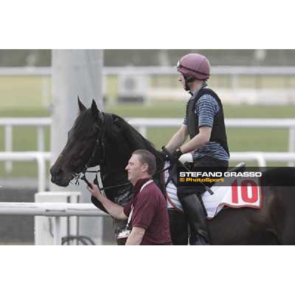 So You Thin leads the Aidan O\'Brien team during morning track works at Meydan Dubai, 28th march 2012 ph.Stefano Grasso