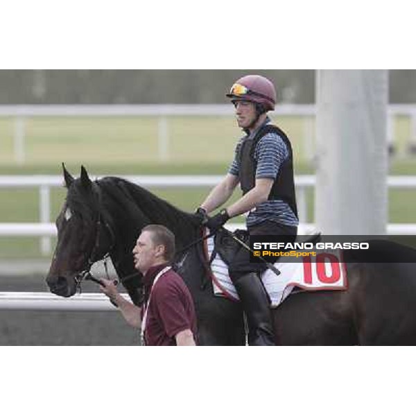 So You Thin leads the Aidan O\'Brien team during morning track works at Meydan Dubai, 28th march 2012 ph.Stefano Grasso