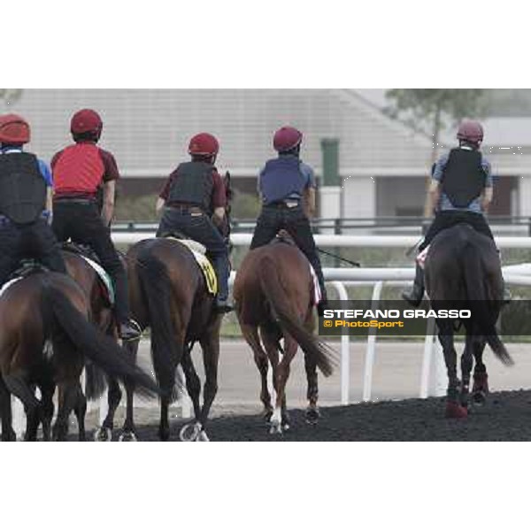 So You Thin leads the Aidan O\'Brien team during morning track works at Meydan Dubai, 28th march 2012 ph.Stefano Grasso