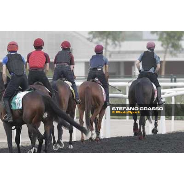 So You Thin leads the Aidan O\'Brien team during morning track works at Meydan Dubai, 28th march 2012 ph.Stefano Grasso