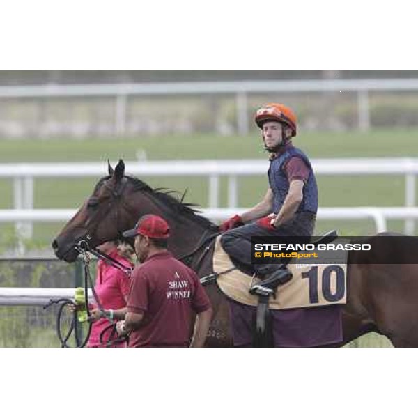 Rocket Man during morning track works at Meydan Dubai, 28th march 2012 ph.Stefano Grasso