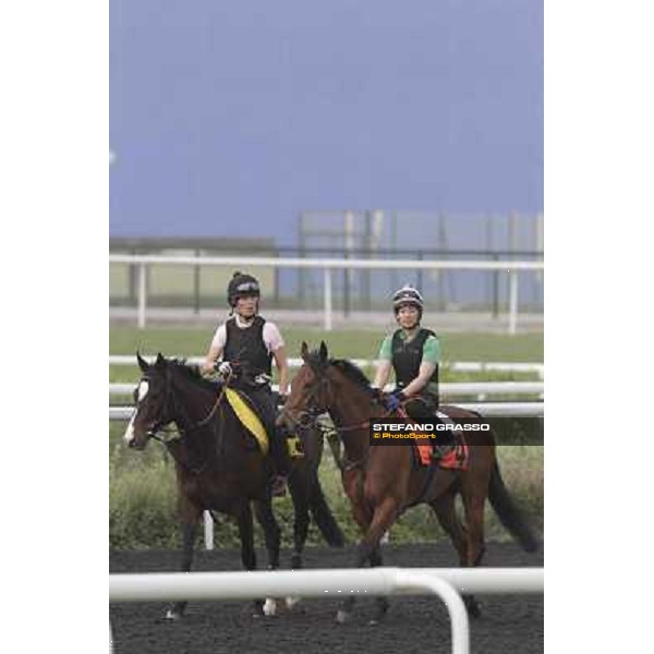 morning track works at Meydan Dubai, 28th march 2012 ph.Stefano Grasso