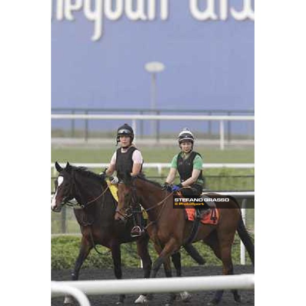 morning track works at Meydan Dubai, 28th march 2012 ph.Stefano Grasso