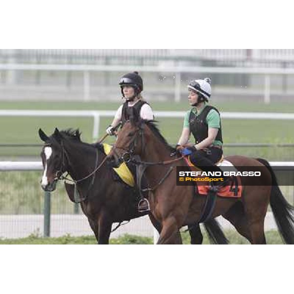 morning track works at Meydan Dubai, 28th march 2012 ph.Stefano Grasso