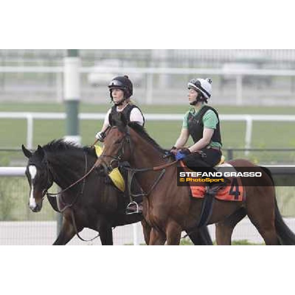 morning track works at Meydan Dubai, 28th march 2012 ph.Stefano Grasso