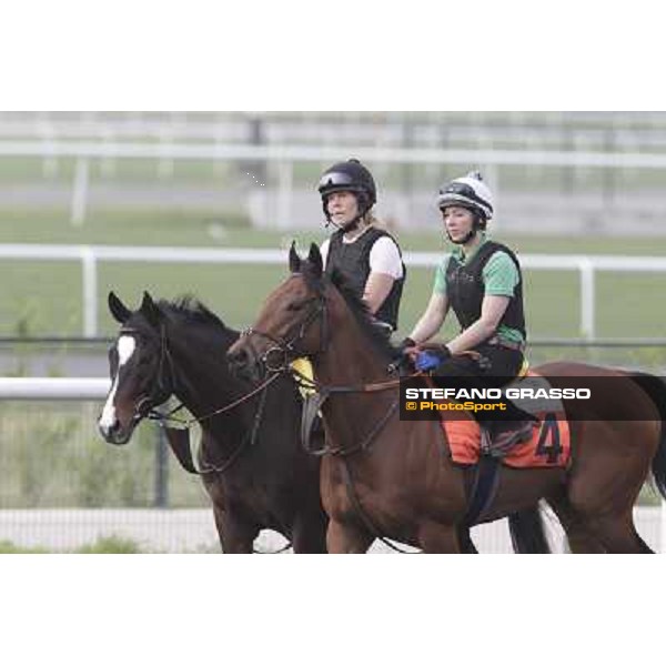 morning track works at Meydan Dubai, 28th march 2012 ph.Stefano Grasso