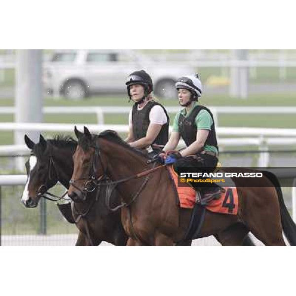 morning track works at Meydan Dubai, 28th march 2012 ph.Stefano Grasso