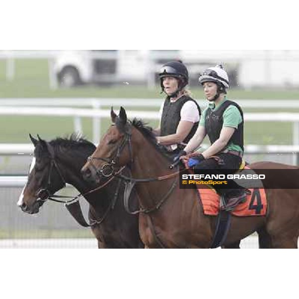 morning track works at Meydan Dubai, 28th march 2012 ph.Stefano Grasso