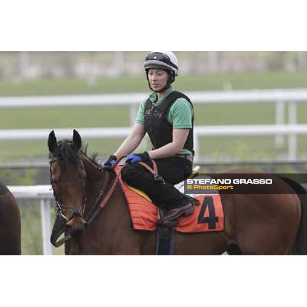 morning track works at Meydan Dubai, 28th march 2012 ph.Stefano Grasso