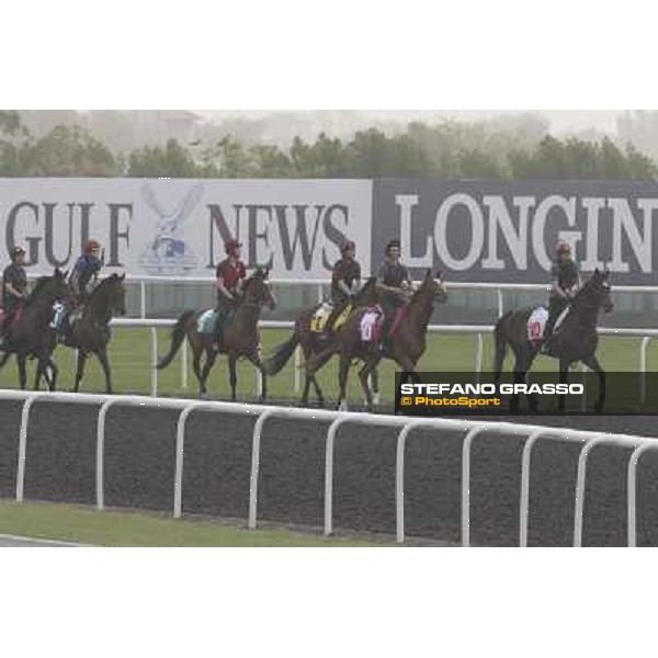 So You Thin leads the Aidan O\'Brien team during morning track works at Meydan Dubai, 28th march 2012 ph.Stefano Grasso