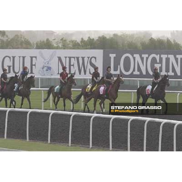 So You Thin leads the Aidan O\'Brien team during morning track works at Meydan Dubai, 28th march 2012 ph.Stefano Grasso