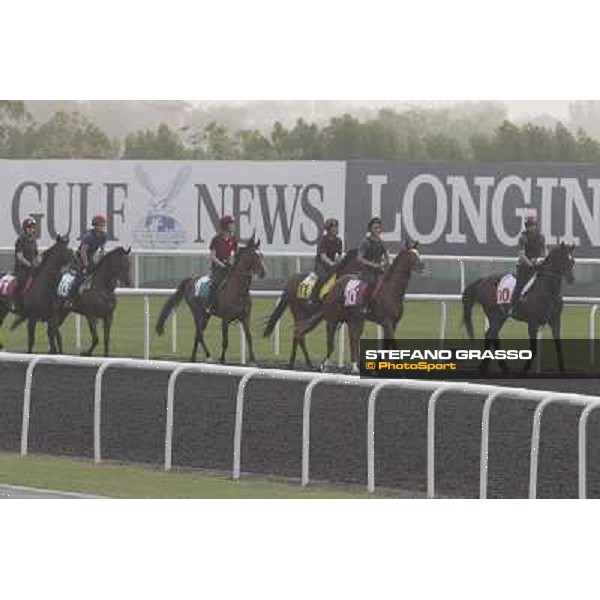 So You Thin leads the Aidan O\'Brien team during morning track works at Meydan Dubai, 28th march 2012 ph.Stefano Grasso