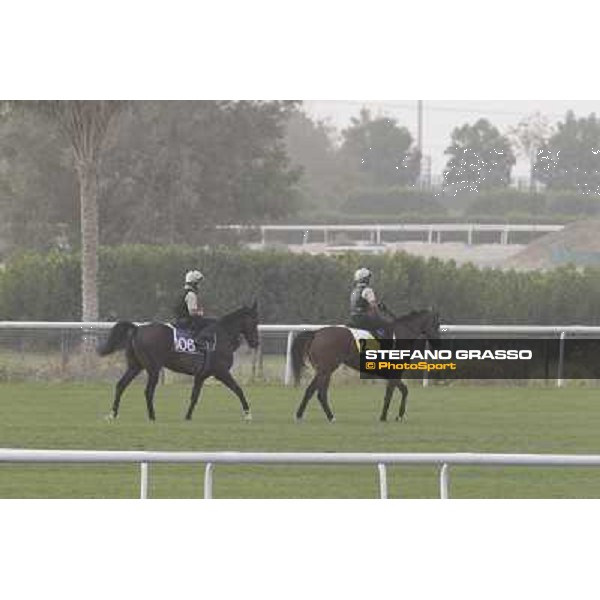 morning track works at Meydan Dubai, 28th march 2012 ph.Stefano Grasso