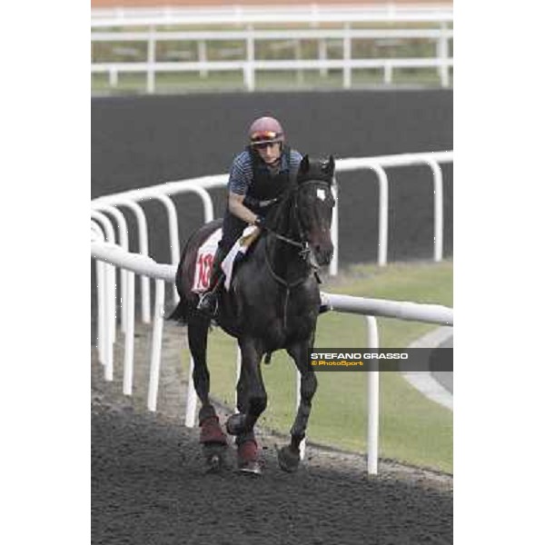 morning track works at Meydan Dubai, 28th march 2012 ph.Stefano Grasso