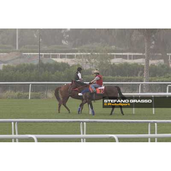 morning track works at Meydan Dubai, 28th march 2012 ph.Stefano Grasso