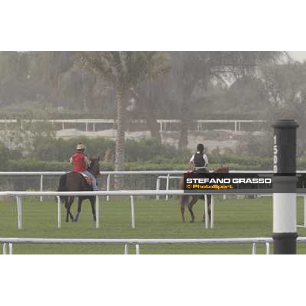 morning track works at Meydan Dubai, 28th march 2012 ph.Stefano Grasso