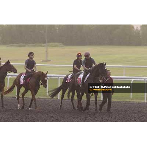 So You Thin leads the Aidan O\'Brien team during morning track works at Meydan Dubai, 28th march 2012 ph.Stefano Grasso