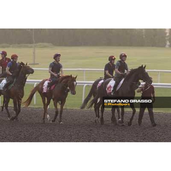 So You Thin leads the Aidan O\'Brien team during morning track works at Meydan Dubai, 28th march 2012 ph.Stefano Grasso