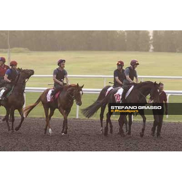 So You Thin leads the Aidan O\'Brien team during morning track works at Meydan Dubai, 28th march 2012 ph.Stefano Grasso