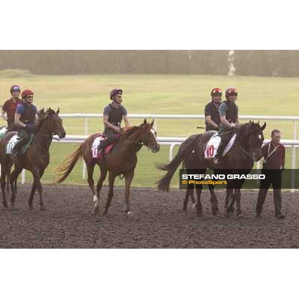 So You Thin leads the Aidan O\'Brien team during morning track works at Meydan Dubai, 28th march 2012 ph.Stefano Grasso