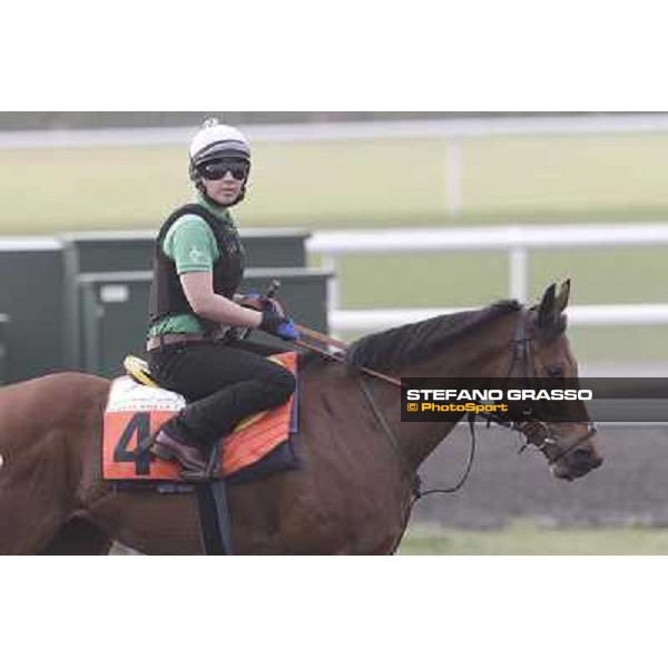 morning track works at Meydan Dubai, 28th march 2012 ph.Stefano Grasso