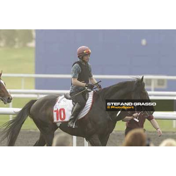 So You Thin leads the Aidan O\'Brien team during morning track works at Meydan Dubai, 28th march 2012 ph.Stefano Grasso