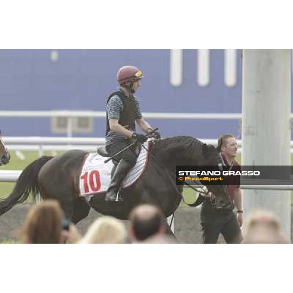 So You Thin leads the Aidan O\'Brien team during morning track works at Meydan Dubai, 28th march 2012 ph.Stefano Grasso