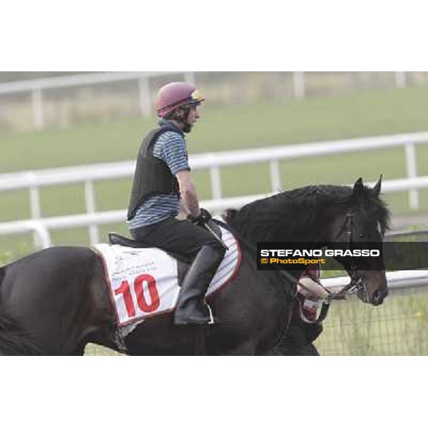 So You Thin leads the Aidan O\'Brien team during morning track works at Meydan Dubai, 28th march 2012 ph.Stefano Grasso