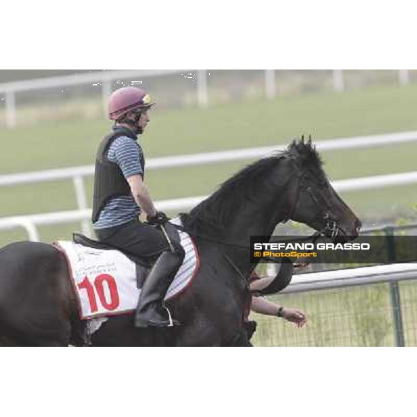 So You Thin leads the Aidan O\'Brien team during morning track works at Meydan Dubai, 28th march 2012 ph.Stefano Grasso