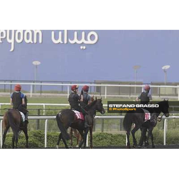 So You Thin leads the Aidan O\'Brien team during morning track works at Meydan Dubai, 28th march 2012 ph.Stefano Grasso