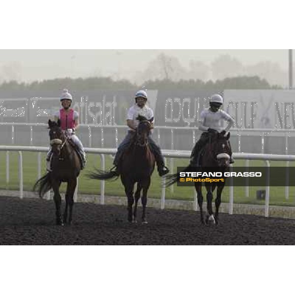 Shantal Sutherland during morning track works at Meydan Dubai, 28th march 2012 ph.Stefano Grasso