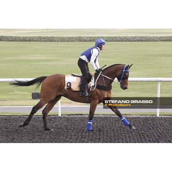 Lucky Nine working at Meydan Dubai, 28th march 2012 ph.Stefano Grasso