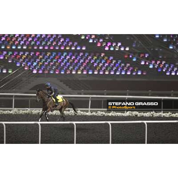 Ambitious Dragon working at Meydan Dubai, 28th march 2012 ph.Stefano Grasso