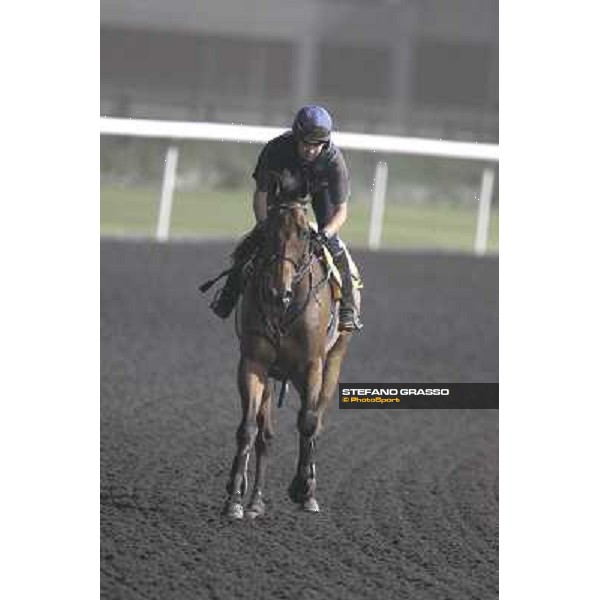 Ambitious Dragon working at Meydan Dubai, 28th march 2012 ph.Stefano Grasso