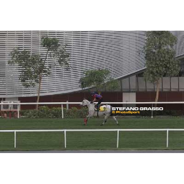 California Memory working at Meydan Dubai, 28th march 2012 ph.Stefano Grasso