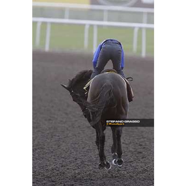 Xtension working at Meydan Dubai, 28th march 2012 ph.Stefano Grasso