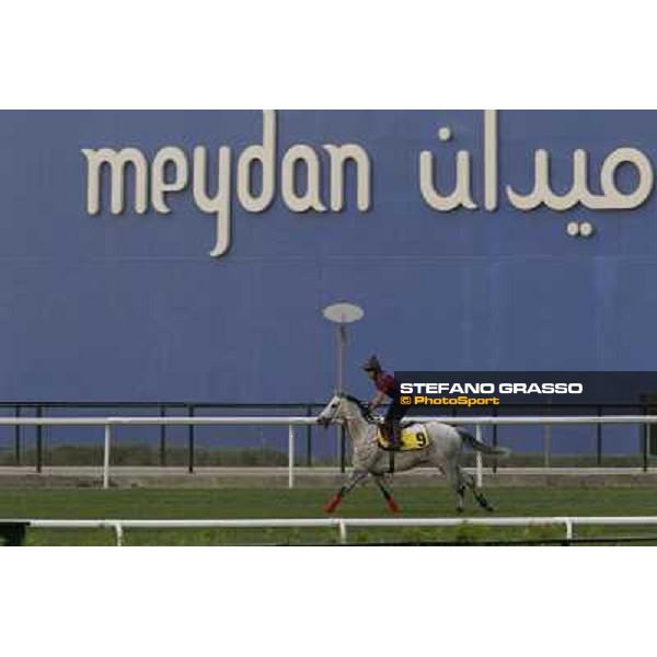 California Memory working at Meydan Dubai, 28th march 2012 ph.Stefano Grasso