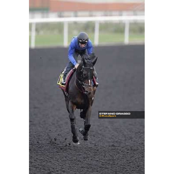 Xtension working at Meydan Dubai, 28th march 2012 ph.Stefano Grasso