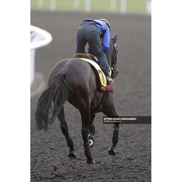 Xtension working at Meydan Dubai, 28th march 2012 ph.Stefano Grasso