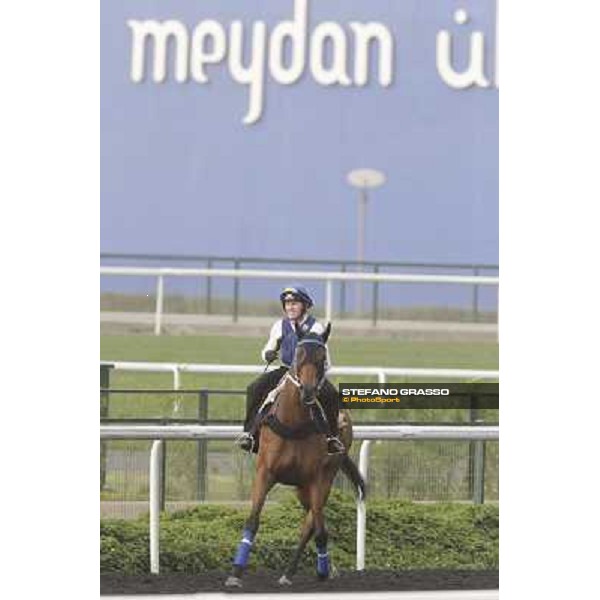 Lucky Nine working at Meydan Dubai, 28th march 2012 ph.Stefano Grasso