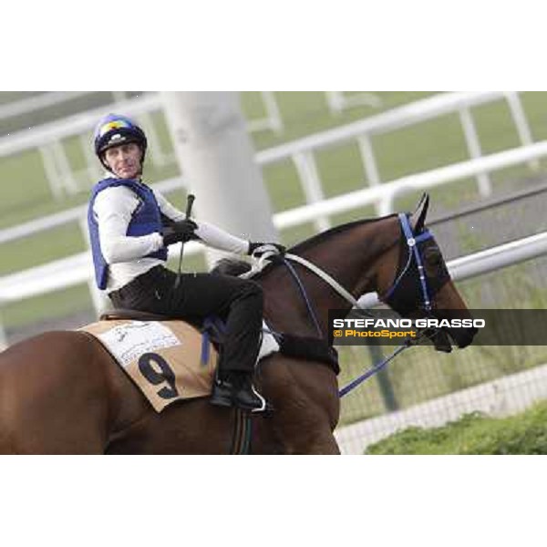 Lucky Nine working at Meydan Dubai, 28th march 2012 ph.Stefano Grasso