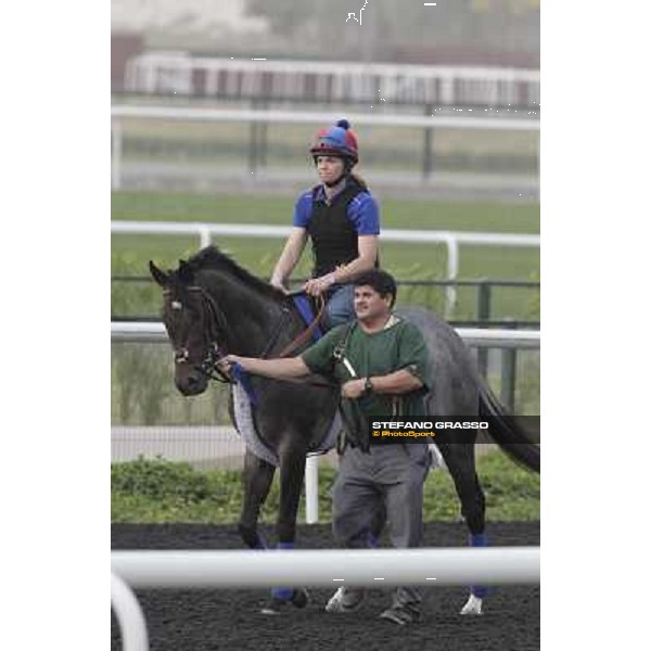 Lucky Chappy during morning track works at Meydan Dubai, 28th march 2012 ph.Stefano Grasso