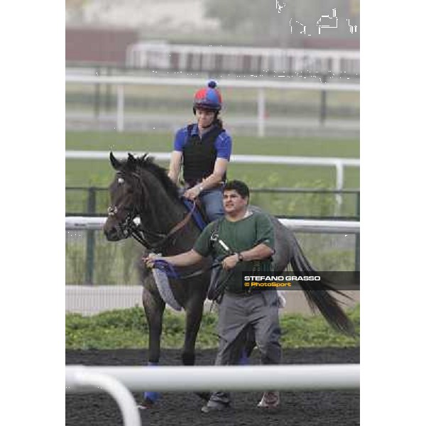 Lucky Chappy during morning track works at Meydan Dubai, 28th march 2012 ph.Stefano Grasso