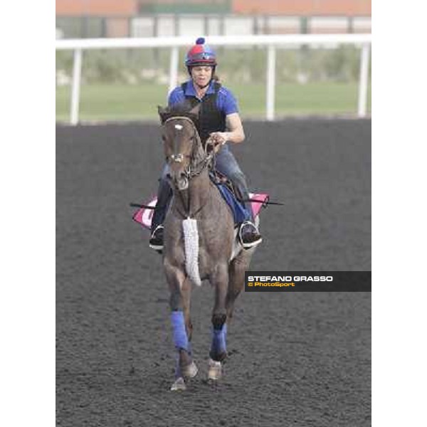 Lucky Chappy during morning track works at Meydan Dubai, 28th march 2012 ph.Stefano Grasso