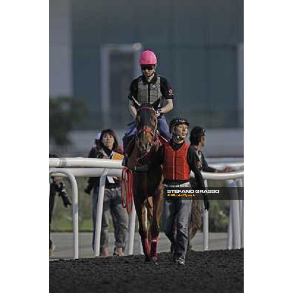 Yutaka Take on Smart Falcon Meydan - morning track works Dubai, 29th march 2012 ph.Stefano Grasso