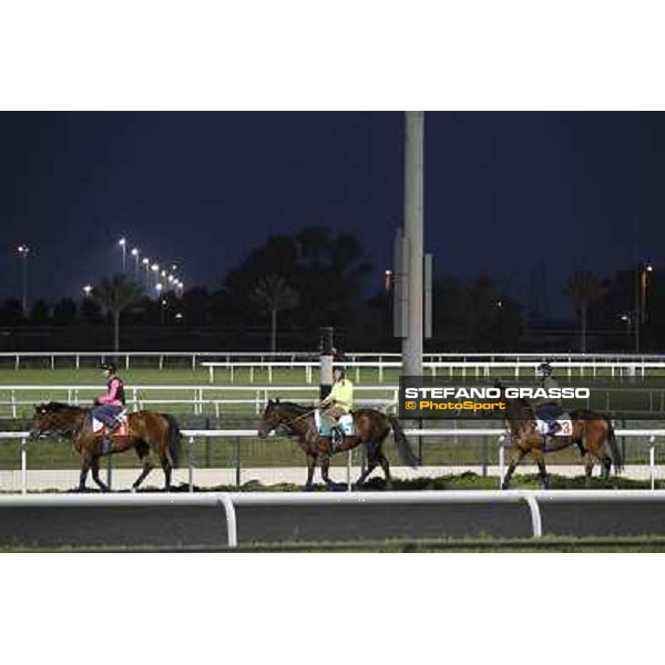 Joshua Tree, Jakkalberry and Planteur Meydan - morning track works Dubai, 29th march 2012 ph.Stefano Grasso