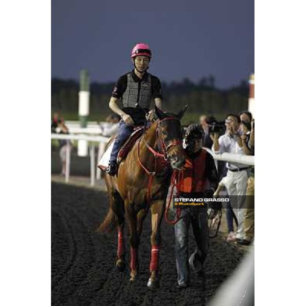 Yutaka Take on Smart Falcon Meydan - morning track works Dubai, 29th march 2012 ph.Stefano Grasso