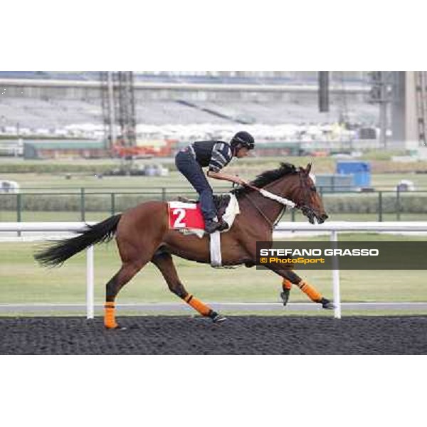 Kasbah Bliss Meydan - morning track works Dubai, 29th march 2012 ph.Stefano Grasso